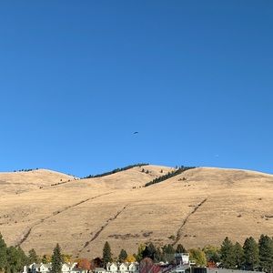 Meet your Posher, Isabella